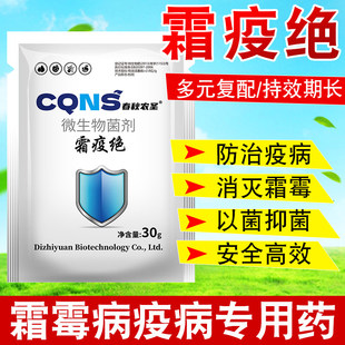 霜疫绝微生物菌剂灰霉早晚疫病通用有效预防疫病以菌抑菌安全高效