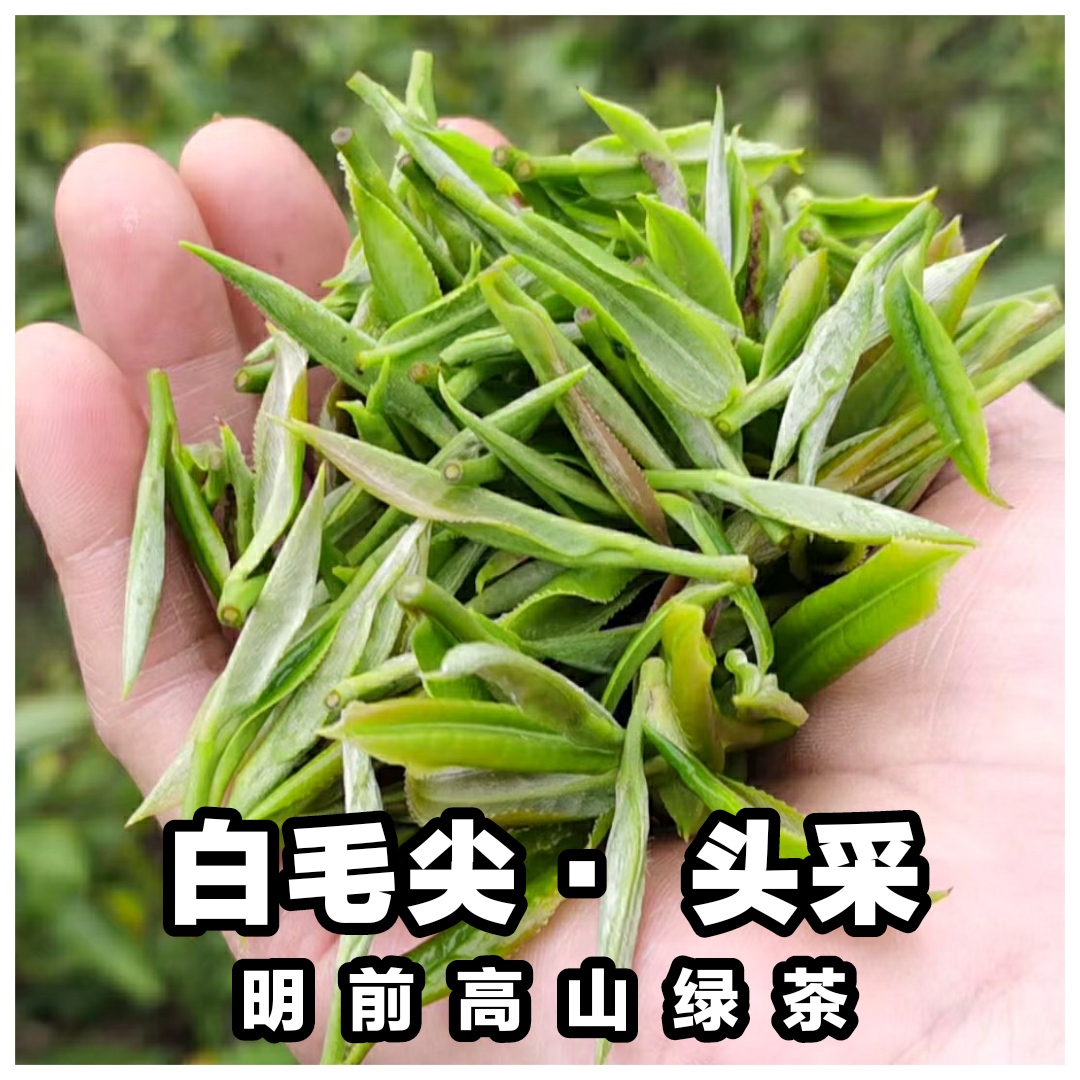 炳叔茶馆 乐昌原枝白毛尖绿茶叶2023新茶明前春茶沿溪山云雾200g