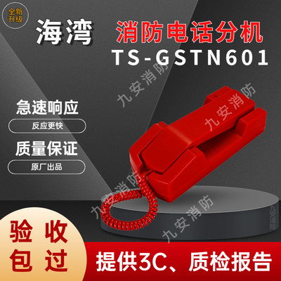 海湾TS-GSTN601电话分机手提式