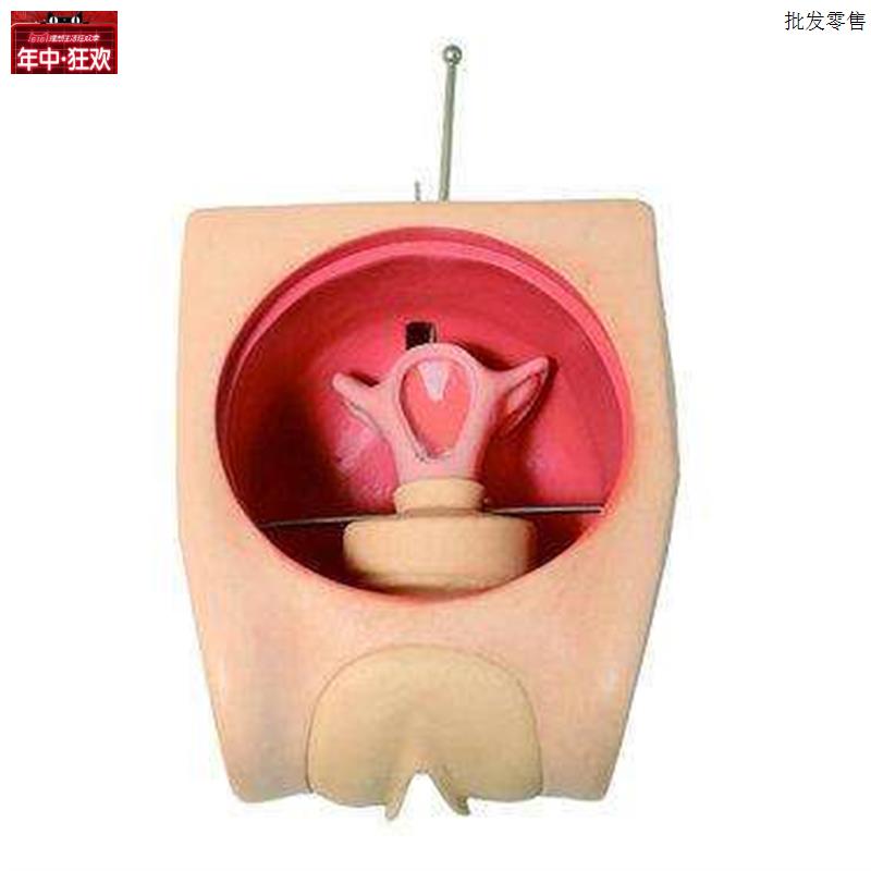 妇科技能训练检查计划生育教r学育练习模型宫内避孕器上环取环模
