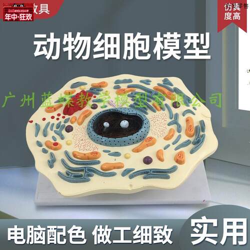 动物细胞亚显微模型医学教学用科教仪器蓝蝶品牌适e用14岁以上