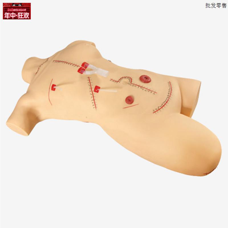 外科缝合包扎清创训练模型外科清T创缝合展示模型拆线换药操作训