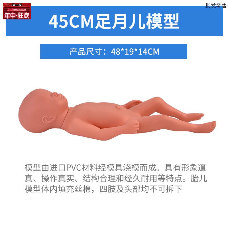 高级足月胎儿模型新生s婴儿护理模型人初生婴儿模型塑胶娃娃