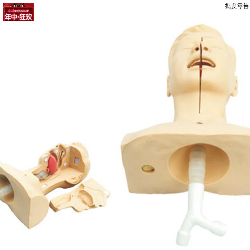 高级吸痰练习模型鼻p腔口腔插管吸引训练模型医学用操作教学模型