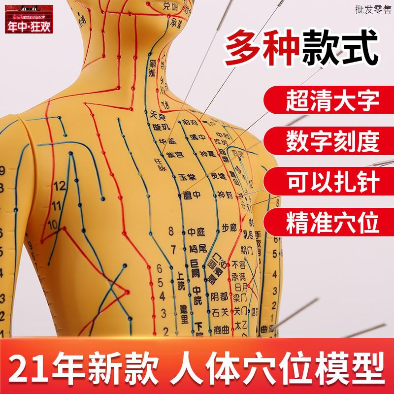 人体针灸模型经络穴O位中医全身十二铜人模特图软胶扎针练习小皮