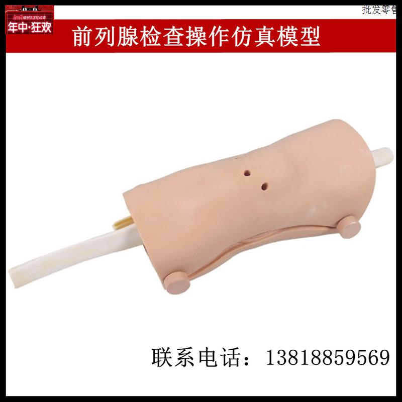 膝关节镜检查操作模型