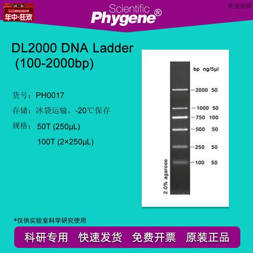 PH0017DL2000DNALadder(10F0-2000bp)100TDNAMarker