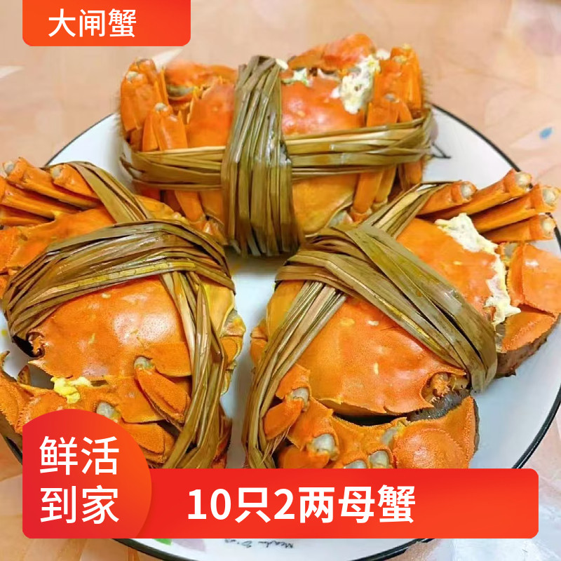 大闸蟹鲜活全母蟹现货