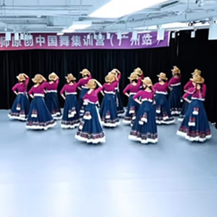 夏辉同款起舞藏族舞蹈服民族风自拍写真艺考藏袍大摆裙艺考演出服