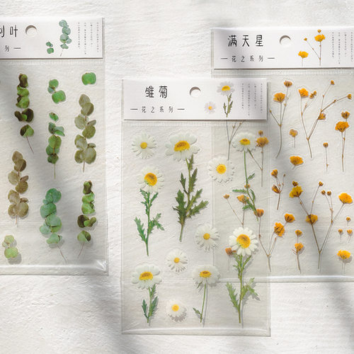 纸先生植物干花手帐素材贴画贴纸