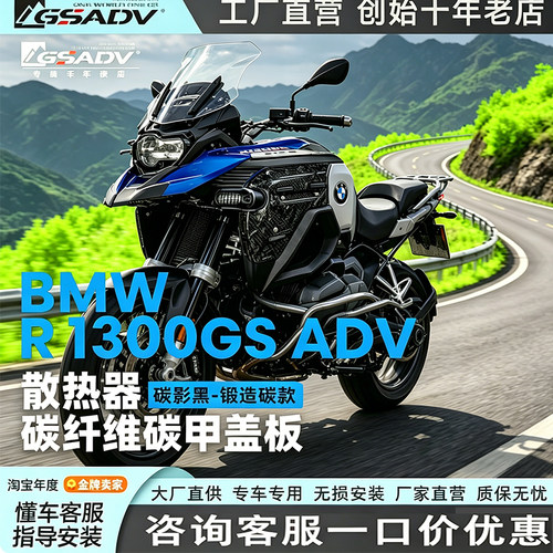 GSADV专用BMWR13散热器碳
