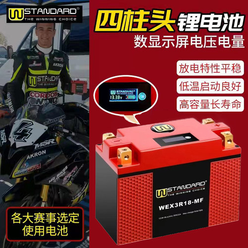 适用赛科龙电瓶RT3睿途250