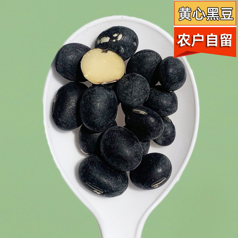 农家自种新粮黑豆黄心大黑豆500g苏北农家黑大豆乌皮黄仁大粒