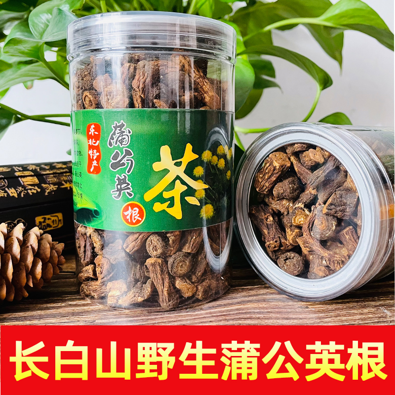 蒲公英根茶炒熟蒲公英根正品长白山野生蒲公英根中药材无添加