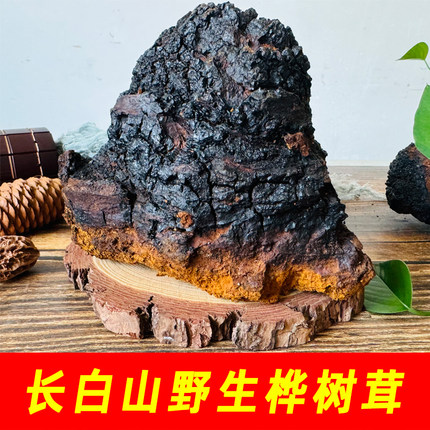 桦树茸黑金长白山野生桦树茸白桦茸桦树泪桦褐孔菌非俄罗斯进口