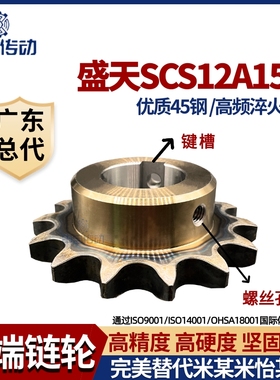盛天链轮SCS链轮加工成品 SCS6分12A15齿 高精度耐磨损 申马传动