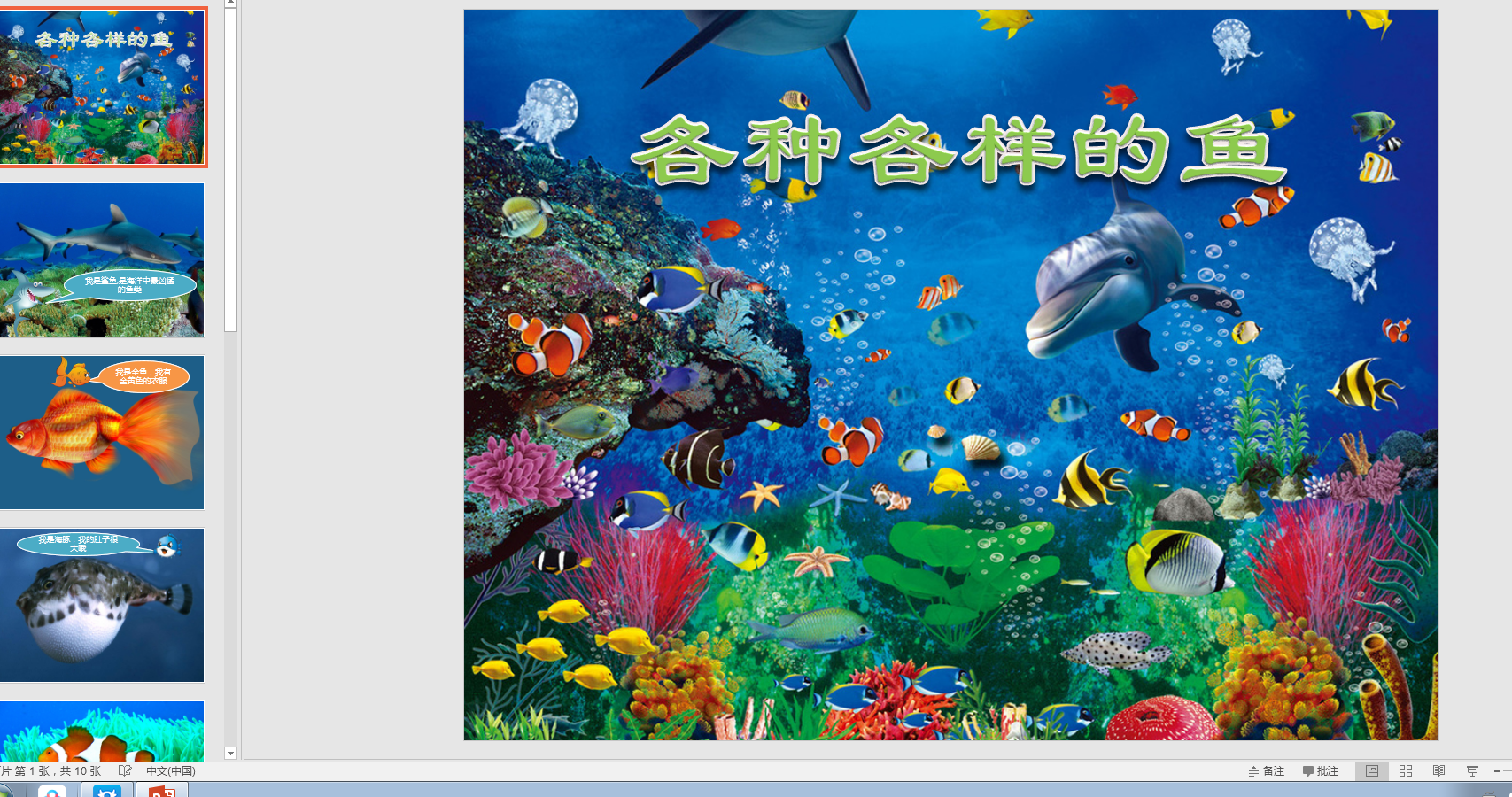 中班科学活动各种各样的鱼ppt课件