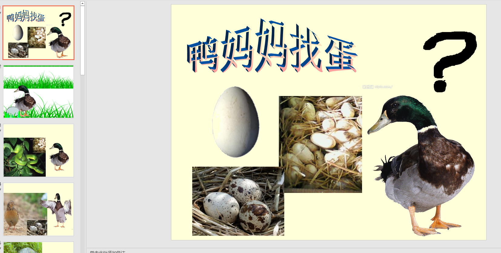 中班语言:鸭妈妈找蛋ppt课件 教案