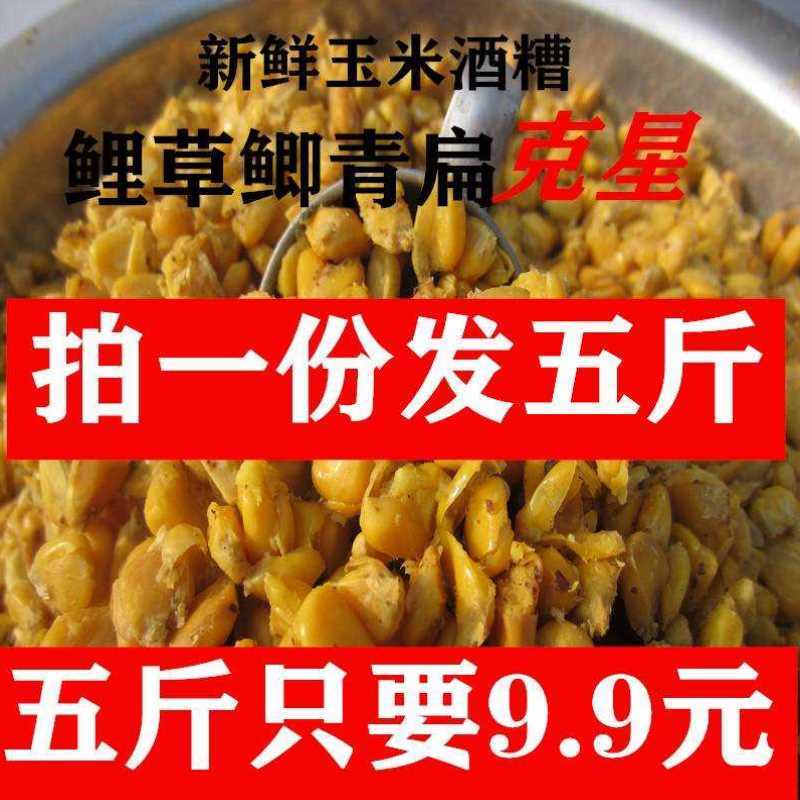 野钓打窝用发酵玉米酒糟小麦快窝料鱼饵冬季水库鲫鱼鲤鱼草鱼青。