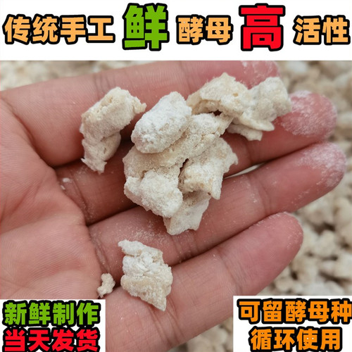 老面酵母传统纯粮新鲜无添加剂
