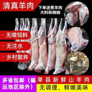 单县青山羊白山羊肉生羊肉乡村溜达羊羊前腿羊后腿羊排单县羊肉