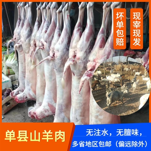 单县羊肉农家生羊肉散养新鲜羊前腿羊后腿羊排肋排乡村溜达羊包邮