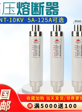 高压熔断器XRNT 10A20A40A50A63安80A100A 10KV高压保险丝熔断器