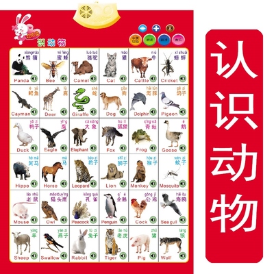 数字墙贴儿童早教看图识字水果早教乘法表26个英文字母表挂图挂图