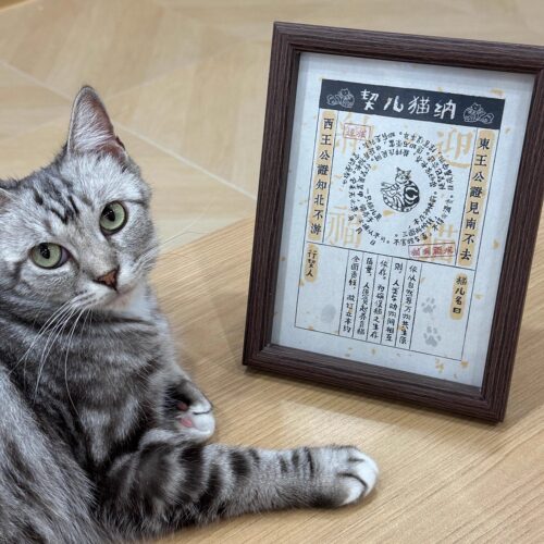 纳猫儿契纳狗聘狸纳猫纪念摆件
