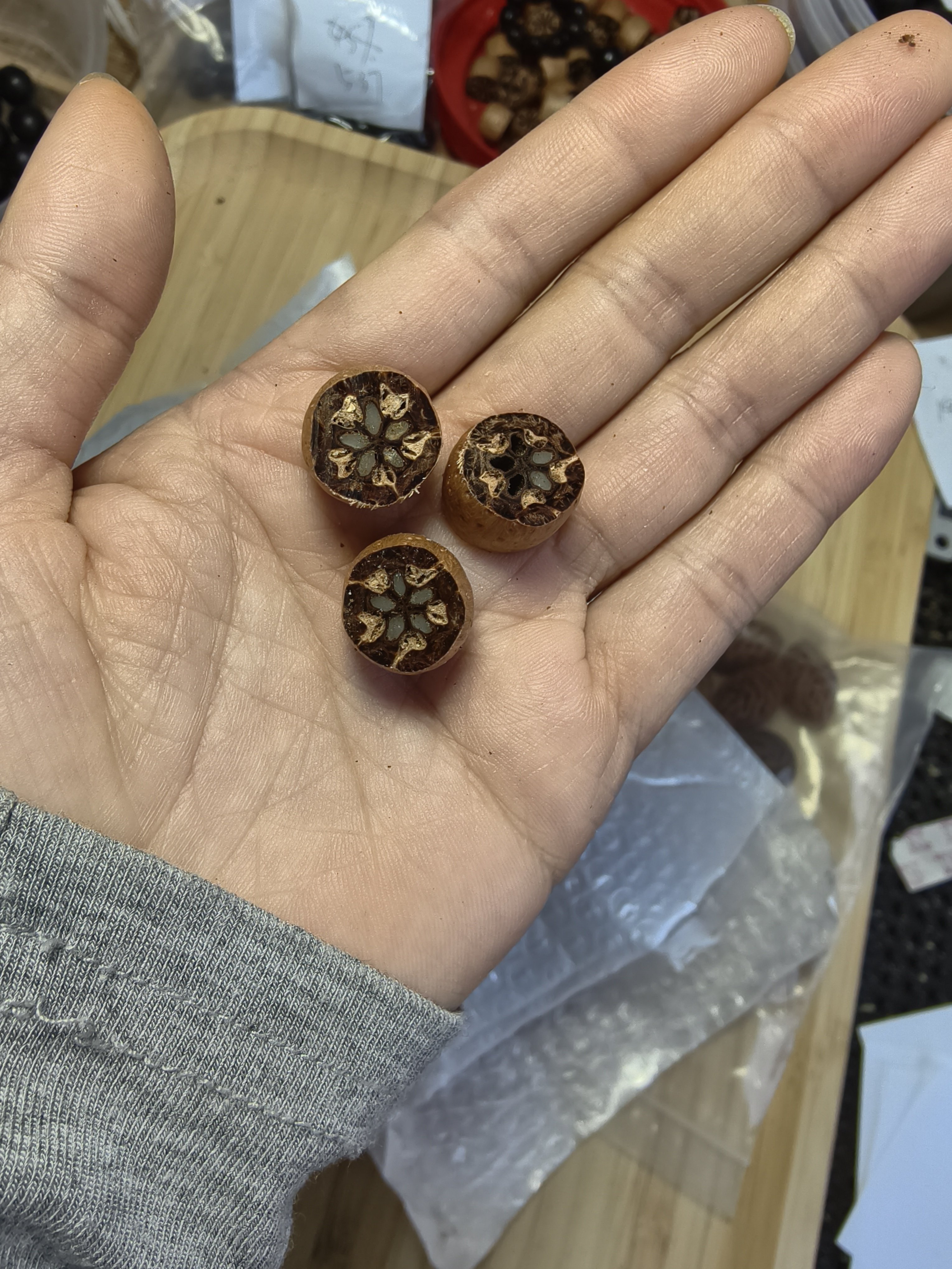 南酸枣散籽diy原料未打磨五眼六通配饰天然手工可做手串手链切片