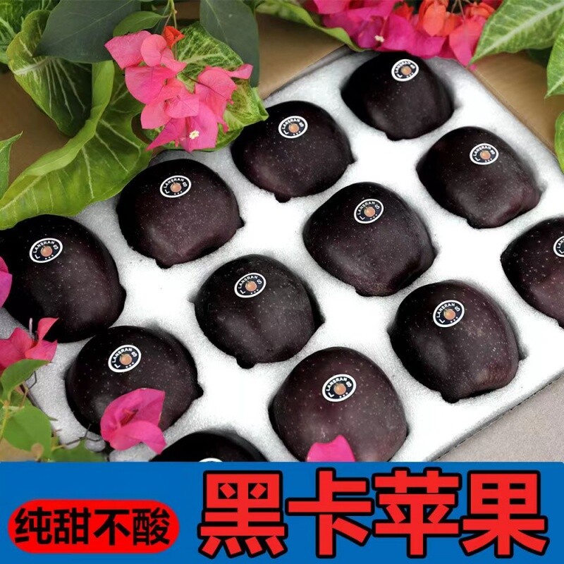甘肃黑卡苹果脆面多汁9斤图片