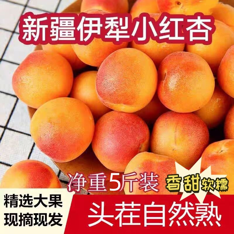 新疆小红杏吊干杏库车黄杏甜杏新鲜应当季孕妇水果现摘小白杏5斤Z