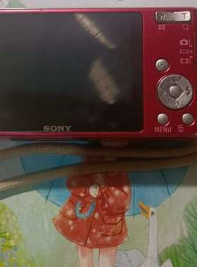 议价C dsc W610红色咨询