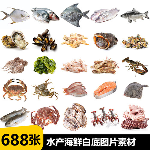 高清白底图鱼虾蟹头足贝类冻品海鲜超市生鲜美团外卖电商图片素材