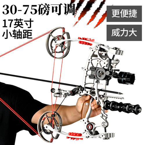 高精度两用弓火钢珠两用弓