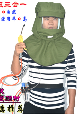 新品DDE供气式全面罩 防毒 防尘 喷漆 打沙面具 供气式头罩 包邮