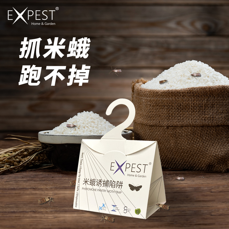 飞蛾陷阱EXPEST抓捕厨房小飞虫