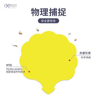 EXPEST灭果蝇诱捕器贴家用 灭蝇神器一扫光灭厨房小飞虫 补充装