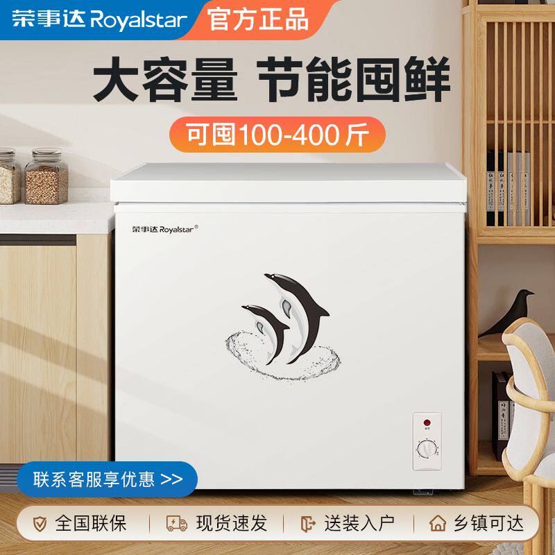 荣事达冰柜小型家用冷柜商用大容量保鲜冷藏冷冻柜两用迷你小冰箱