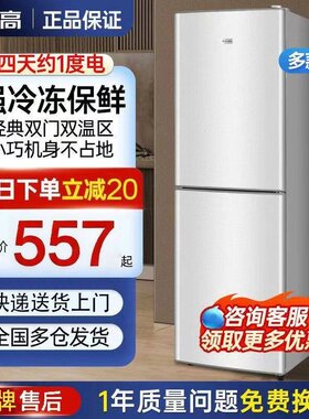 志高178L升冰箱家用小型一级能效节能大容量双开门三门宿舍出租房