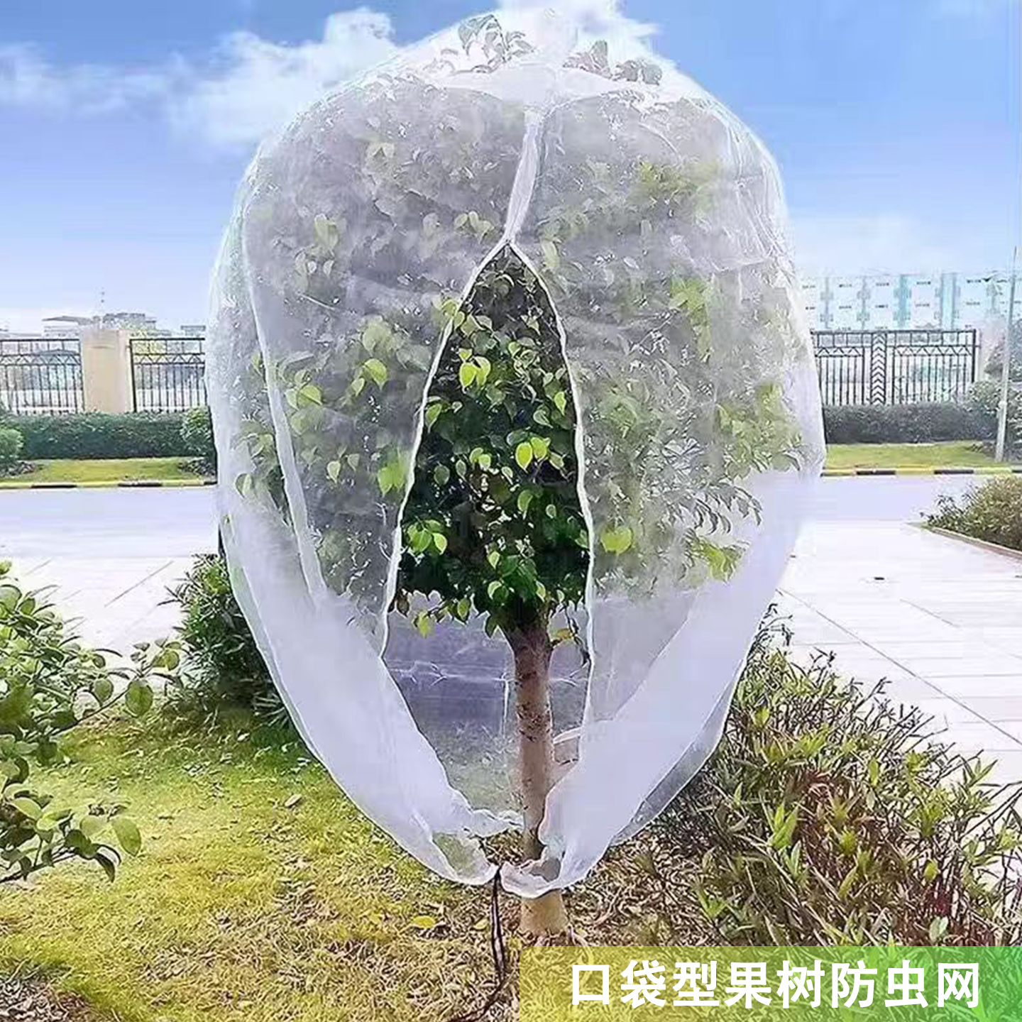 果树防虫网罩网袋莲雾樱桃蓝莓杨梅蔬菜花卉绿植防鸟防虫网抗老化