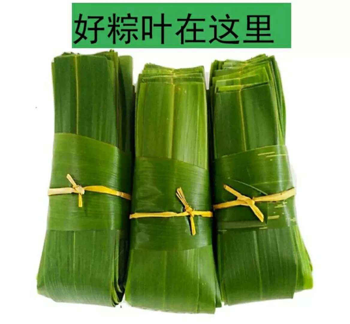 粽叶新鲜免邮大粽子叶野生纯天然芦苇农家现摘箬芒竹叶特级100片_虎窝淘