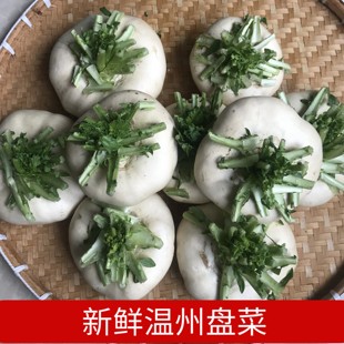温州特产现摘嫩新鲜盘菜5斤鲜嫩食用盆菜扁萝卜乐清菜场3采购包邮