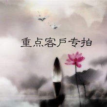 定制 经客服同意再下单无备注无联系直接随机发货不支持退款