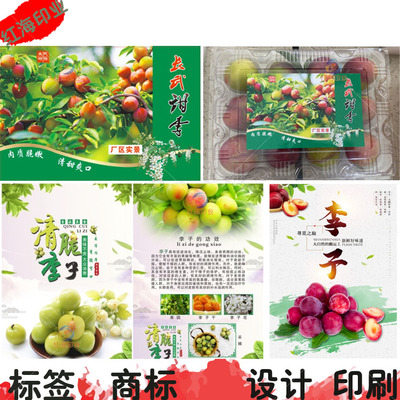 新鲜李子包装贴纸青脆李三华李盒贴标签黑布李珍珠李商标设计印刷