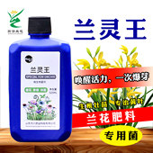 普兰西兰灵王微生物菌剂以菌抑菌防黄叶烂根活化土壤益生菌营养液
