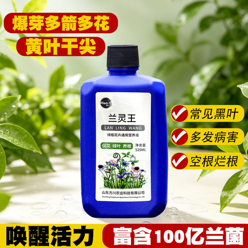 兰灵王兰花专用肥营养液君子兰花