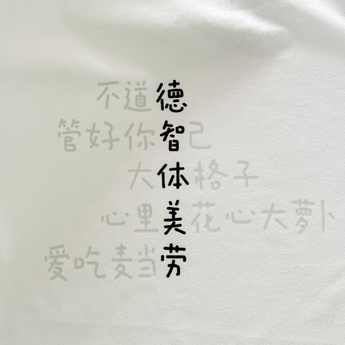 德智体美劳250克纯棉T恤