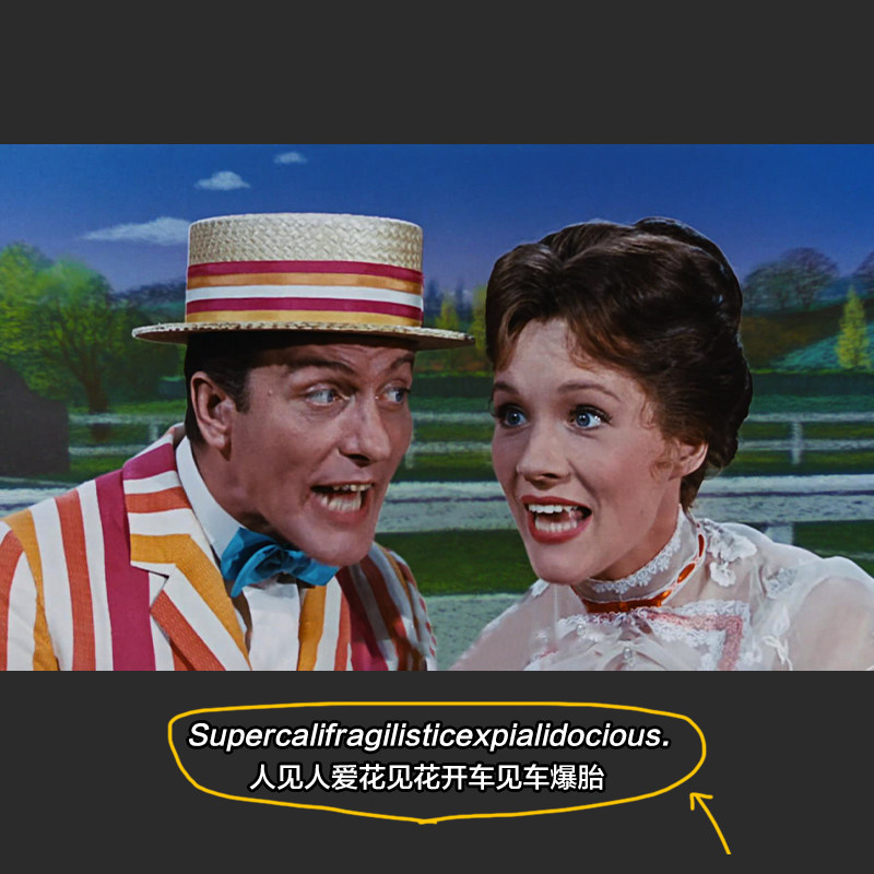 人见人爱花见花开车见车爆胎T恤