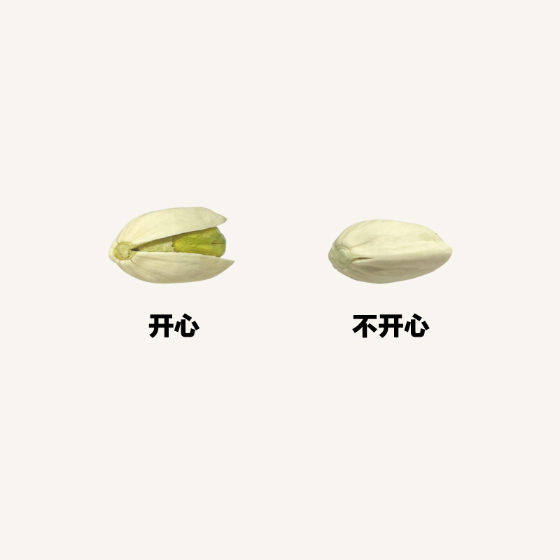 要不要一起开心｜在宇间工作室开心果T恤